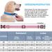 Haapaw Pink Reflective Dog Collar - Soft Neoprene & Breathable Nylon for Small Medium Large Dogs - Padded Comfort & Safety - Buy Online on GoSupps.com