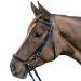 Star Waldhausen Bridle Hannover Black Thoroughbred