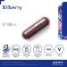 Pure Encapsulations Bilberry 160mg | Visual and Vascular Support | 120 Capsules - Buy Online on GoSupps.com