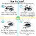 Magnetic eyelashes No Glue Needed Premium Quality 3D Reusable Lashes Extension 0.2mm Ultra Thin Dual Magnets lashes Natural Look 4 Pair/8 Pieces (8PCS) - Buy Online on GoSupps.com