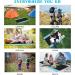 Likorlove Beach Blanket - Waterproof, Sandproof, Oversized Picnic Mat for 5-7 Adults - Lightweight, Portable, Quick Dry - Ideal for Travel, Camping, Hiking - Compact Bag, Stakes & Pockets Included - Black & Blue - Buy Online on GoSupps.com
