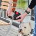 Dogxi 5m Retractable Dog Leash for Small & Medium Dogs - Adjustable Black Belt with Carabiner Perfect for Car Use - 25kg Capacity - Buy Online on GoSupps.com
