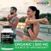 Renew Actives Chlorella Capsules 1000MG per 2 Capsules - Rich in Antioxidants & Nutrients - Natural Source for Cellular Health, Vitality, & Wellness - Made in Canada - 120 Capsules - Buy Online on GoSupps.com