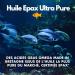 OMEGA 3 EPAX Pure Oil from Wild Fish - EPA DHA Highly Concentrated - Heart Brain and Vision Health - 60 Capsules - Odorless - Low Totox Index 3 - France - Buy Online on GoSupps.com