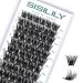 Cluster Lashes SISILILY Individual Lashes 72 Lash Clusters C D Curl Individual Cluster eyelashes DIY Lash Extensions Reusable False Eyelashes Wispy Fluffy Individual Lashes 10-16mm Length (DM27-mix) 72 clusters-DM27