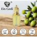 Anointing Oil from Jerusalem - Blessed Frankincense & Myrrh Roll-On 12ml | Holy Oil in Elegant Bottle | Perfect Religious Gift for Prayers & Blessings - Buy Online on GoSupps.com