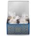 Buy Original Nuremberg Gingerbread Chest - Handmade Elisen Lebkuchen - 45% Nut Content - Award-Winning Treats - International Shipping Available - Buy Online on GoSupps.com
