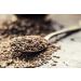 Club House Quality Natural Herbs and Spices Mustard Seed 750g - Buy Online on GoSupps.com