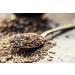 Club House Quality Natural Herbs & Spices Ground Nutmeg Plastic Can 39g 39 g (Pack of 1) - Buy Online on GoSupps.com