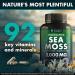 Buy Advanced Sea Moss Capsules - Irish Sea Moss with Burdock Root & Bladderwrack for Immunity Gut Health & Energy - 120 Superfood Pills - Buy Online on GoSupps.com