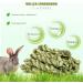 Roundler 20-Piece Rabbit Cake Stuff - Natural Timothy Hay Stick & Tooth Grinding Grass Ring Toys for Rabbits Chinchillas Hamsters & Guinea Pigs - Healthy Snacks & Chew Toys - Buy Online on GoSupps.com