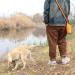 Vivaglory 750ml Stainless Steel Dog Drinking Bottle & Neoprene Carrier - Ideal for Hiking & Travel with Pets - Buy Online on GoSupps.com