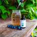 Pure Inventions Blueberry & White Tea Infusion Drops - 60 Servings, 2oz - No Sugar or Artificial Sweeteners - Buy Online on GoSupps.com