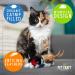 Pet Craft Supply Cat Toys 2 Pack - Interactive and Durable - Buy Online on GoSupps.com