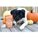 Only One Treats Soft Pumpkin Training Treats (170g). for Your Family Pets. 100% Gluten Free Organic with no preservatives. Dog Training Treats. 174 g (Pack of 1) Pumpkin (Pack of 1) - Buy Online on GoSupps.com