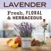 Mrs. Meyer's Lavender Bar Soap 5.3 oz - Hand & Body Wash with Essential Oils - Buy Online on GoSupps.com