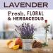 Mrs. Meyer's Antibacterial Hand Sanitizer Spray - Travel Size - Lavender - 2 oz | Removes 99.9% of Bacteria - Buy Online on GoSupps.com