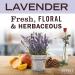 MRS. MEYER'S CLEAN DAY Liquid Dish Soap - Lavender Scent 16 oz | Cruelty-Free Eco-Friendly Dishwashing Solution - Buy Online on GoSupps.com