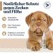 Felmo Spot-On for Dogs 50ml | Natural Tick & Flea Protection with Black Cumin Oil | Vet Recommended - Buy Online on GoSupps.com