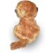 Wild Republic Meerkat Hug'ems Soft Toy 18cm - Perfect Gift for Kids - Buy Online on GoSupps.com