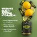 Essential Nutrition Hydrolift Electrolytes - Powerful Hydration Formula - with Trace Elements & Minerals - Keto Friendly - Sugar Free - Lemon, Naturally Flavored - 30 Sticks - Buy Online on GoSupps.com
