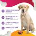 Dog Communication Buttons - 8PC Set for Pet Speech Training & Voice Response - Enhance Your Dog's Communication Skills - Buy Online on GoSupps.com