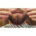 Buy Hairgum S 30th Anniversary Coco Cactus Beard Oil 40ml - Premium Quality International Shipping - Buy Online on GoSupps.com