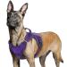 Rabbitgoo dog harness Large dogs anti -train crockery dog adjustable with handles widened robust and wear -resistant tactical dog harness with metal buckles for hiking (L purple) L (1 Pack) purple