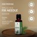 Pure Balsam Fir Needle Oil -(Abies Balsamea)- Essential Oil 100% Pure Natural Undiluted Uncut Therapeutic Grade Oil 1.01 Fl.OZ 1.01 Fl Oz (Pack of 1) - Buy Online on GoSupps.com