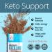 Dr. Boz Max Strength Keto BHB Powder [20 Sachets 16.6g] - Dutch Chocolate Flavor - Best Keto Supplement for Weight Loss & Ketogenic Diet - Keto Shake for Energy Boost - Buy Online on GoSupps.com