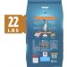 Purina ONE Tender Selects Blend Adult Dry Cat Food - High-Quality Nutrition for Cats - Buy Online on GoSupps.com