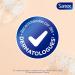 SANEX-Derma Th rapie-Huile de douche anti-d mangeaisons et anti-irritations pour les peaux sujettes l ecz ma atopique-moins d' irritations apr s 3 jours d'utilisation-complexe d acides amin s-425 ML Violet 425 ml (Lot de 2) - Buy Online on GoSupps.com