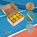 Yellow Outdoor Pickleball Balls 6-Pack - High Bounce & Durable with 40 Holes - Ideal for All Pickleball Paddles - Includes Carry Bag & Handle Straps - Buy Online on GoSupps.com