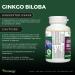 Vitanergy Ginkgo Biloba Enhanced Bioavailability for Cognitive Function & Peripheral Circulation Support 60mg 60 Capsules - Canadian Made - Buy Online on GoSupps.com