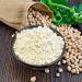 Alpenpower Bio Pea Protein 600g - 100% Pure Vegan Protein Isolate | High-Quality 85% Protein Powder Without Additives - Buy Online on GoSupps.com