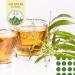  Alpi Nature Alpi Nature Lemon Verbena Leaves Herbal Tea 120 Tea Bags 150 g Pack of 6 x 20 Sachets of 1 g - Buy Online on GoSupps.com