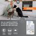 ICF Zincoseb Dog Shampoo 250ml - Anti-Itch, Antifungal, Antibacterial - Sensitive Skin Relief for Dogs & Cats - Buy Online on GoSupps.com