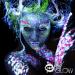 Uv Glow Blacklight Face and Body Paint Set - 8 Tubes 0.34oz - Neon Fluorescent Colors - Buy Online on GoSupps.com