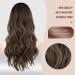 Shop Fine Long Wavy Brown & Blonde Lace Front Wig for Women - 65 cm Natural Synthetic Hair Waves - Buy Online on GoSupps.com