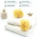 Tom & Pat Natural Bathing Sponge - Soft Greek Spa Quality for Sensitive Skin & Babies Dermatest Approved | 13-14 cm - Buy Online on GoSupps.com