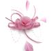 Pink Feather Beaded Beak Clip Fascinator for Weddings, Races, Royal Ascot | Women's Hair Accessory - Buy Online on GoSupps.com