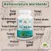 Organic Holy Basil (Tulsi) Capsules - Natural Stress Relief and Immune Support - Buy Online on GoSupps.com