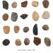 Belle Vous 3.6kg Bag Decorative Natural Pebbles - 1.4-2.6cm/ 0.55-1.02 inch Mini Assorted Pebble Stones - Mixed River Gravel for Vase Filler Plant Pots Landscaping Aquariums Home and Garden - Buy Online on GoSupps.com
