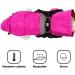 Shop Waterproof Dog Cloak & Coat for Small/Medium Dogs - Windproof Jacket with Dish Ring - Fuchsie & Fox - Buy Online on GoSupps.com