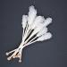 SIVIFOOD Rock Sugar Sticks - Natural Crystal Sugar on a Stick (10 Pieces) | Gourmet Sweetener for Tea & Desserts - Buy Online on GoSupps.com