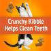 Friskies Party Mix Cat Treats Original Crunch with Real Chicken - 454 g Cannister (1 Pack) 454 g (Pack of 1) - Buy Online on GoSupps.com
