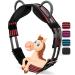 Esposita riding strap with 2 leather handles for holding on for children and riders - also suitable as a lunging belt vaulting belt or as a wooden horse accessories WB / full red -black