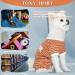 Tony Hoby Dogs Shirt - Soft & Breathable Dog Suit for Small to Large Dogs (XL Orange for Girls) - Stylish Striped Dog T-Shirt - Buy Online on GoSupps.com
