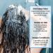 Mirai Clinical Purifying Sulfate-Free Hair Shampoo with Japanese Persimmon Extract 400ml - Nonenal Odor Removal & Moisturizing Formula - Buy Online on GoSupps.com