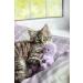 Rosewood Jolly Moggy Octopus Cat Toy - Under the Sea Fun for Your Feline Friend - Buy Online on GoSupps.com
